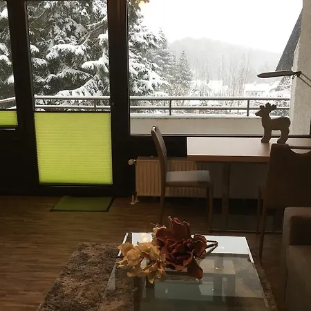 Apartment Harzmond Braunlage