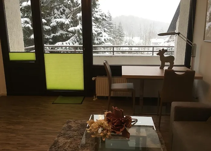 Apartamento Harzmond Braunlage